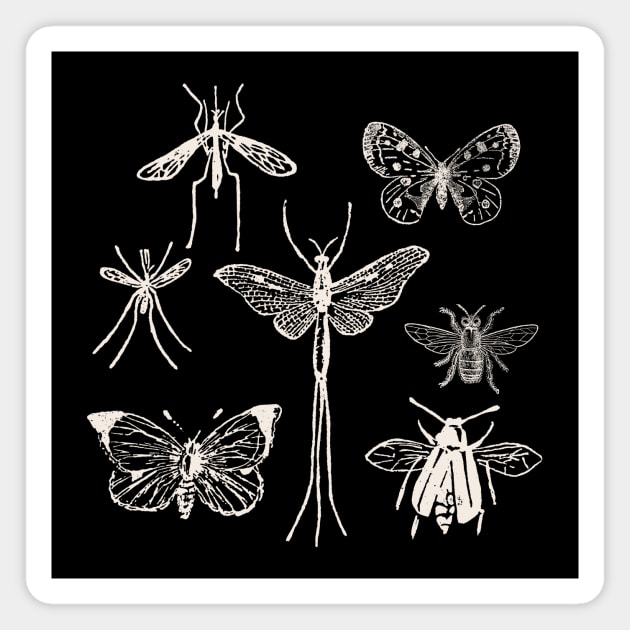 Moths & Butterflies & Insects & Dragonfly Magnet by zeljkica